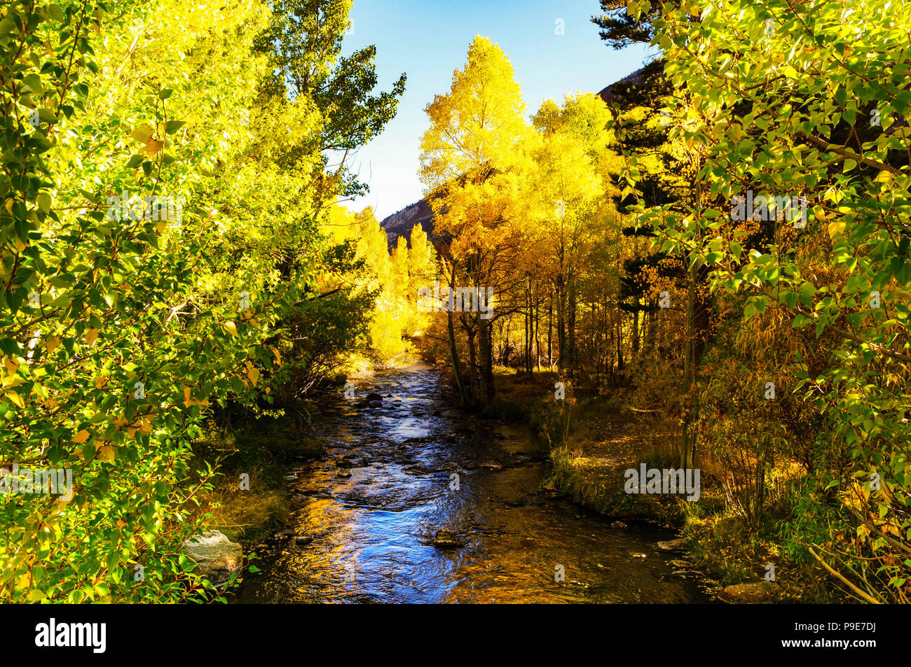 Il vescovo Creek nelle montagne della Sierra Nevada in autunno Foto Stock