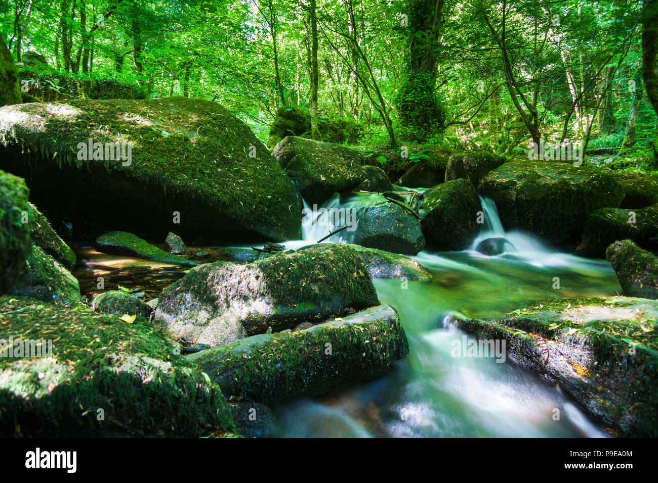 vista del sito della riserva naturale di kennall vale cornwall del vecchi mulini a polvere ul Foto Stock