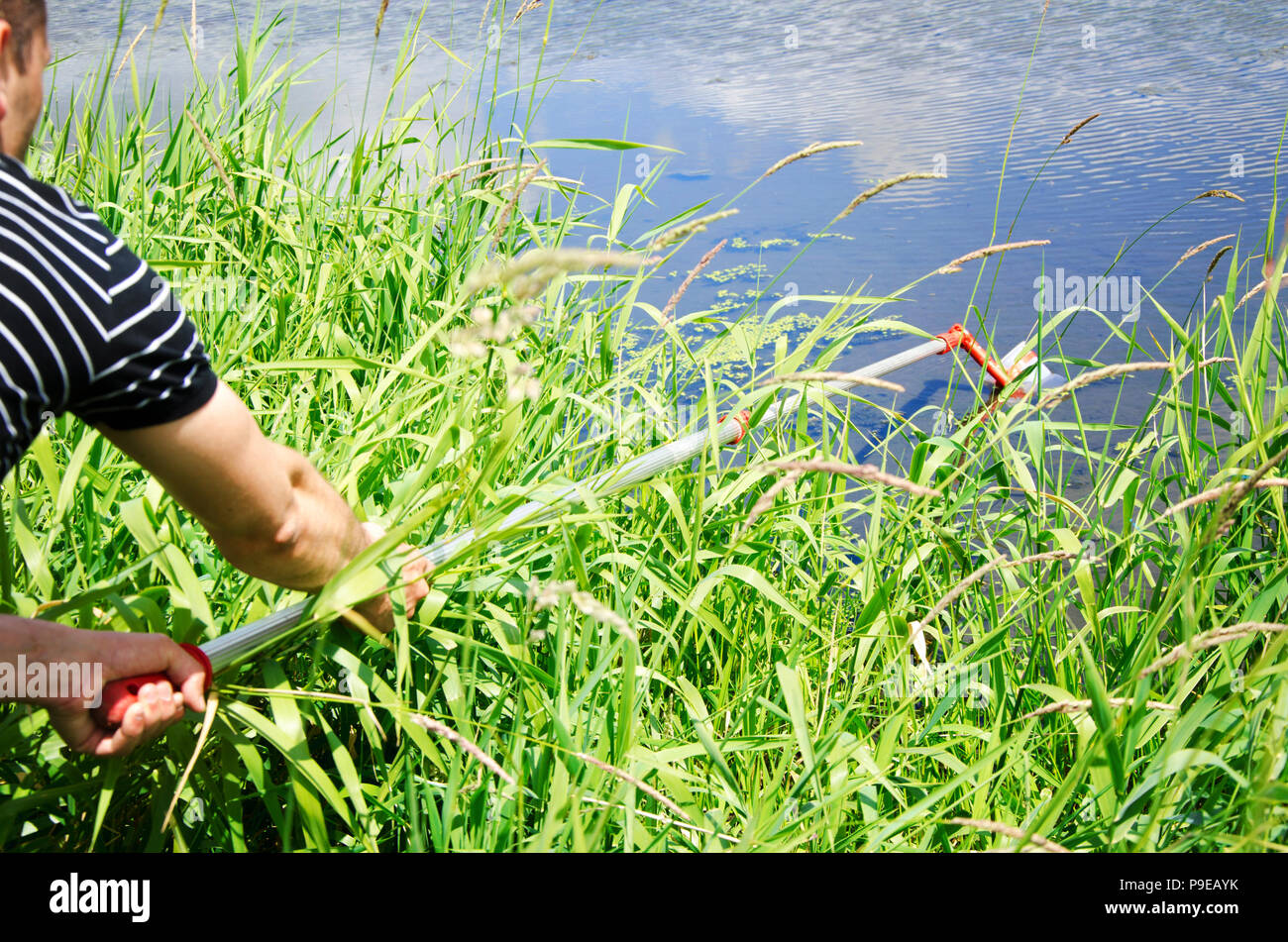 Prelevare campioni di acqua per le prove di laboratorio. Il concetto - analisi della purezza dell'acqua, ambiente, ecologia Foto Stock