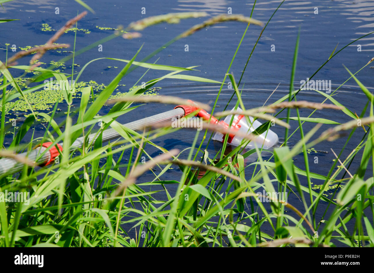 Prelevare campioni di acqua per le prove di laboratorio. Il concetto - analisi della purezza dell'acqua, ambiente, ecologia Foto Stock