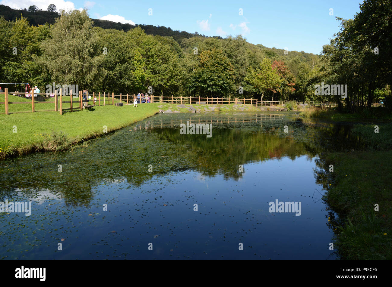 Vista panoramica del Barry sciavero Country Park vicino alla città di Porth nella Rhondda Valley Foto Stock