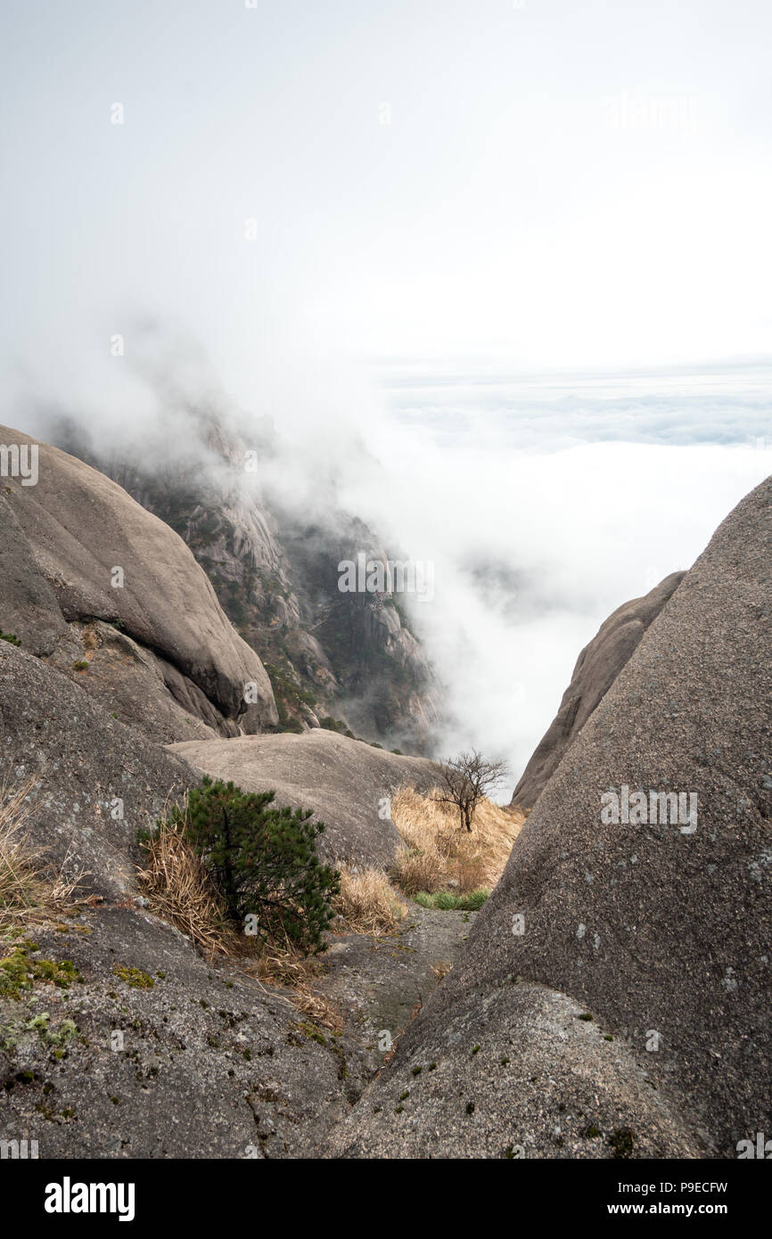 Huangshan mountain, Huangshan Anhui, Cina Foto Stock