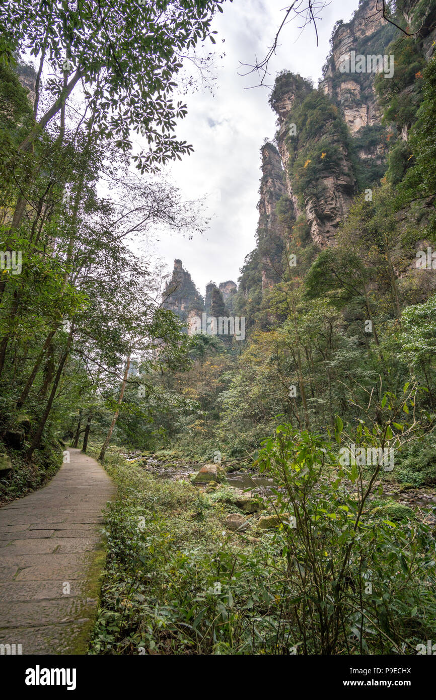 Paesaggio di Zhangjiajie. Preso dal Vecchio Campo a casa. Situato in Wulingyuan Area d'interesse storico e paesaggistico che è stato designato come un Sito Patrimonio Mondiale dell'UNESCO come pure AAAAA scenic area in Cina. Foto Stock