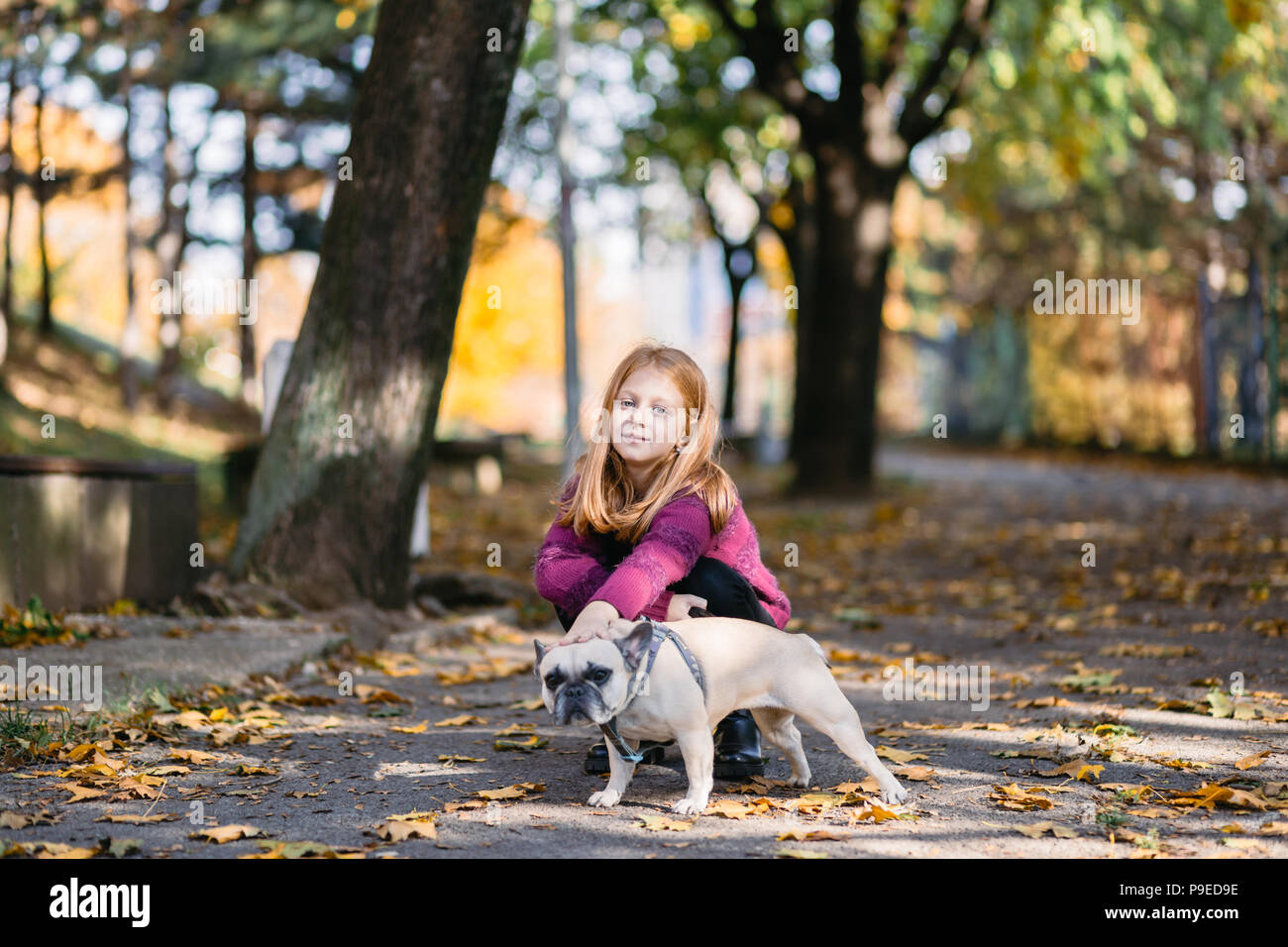 Bella ragazza redhead godendo di autunno il giorno in un parco con la sua bulldog francese cucciolo. Foto Stock