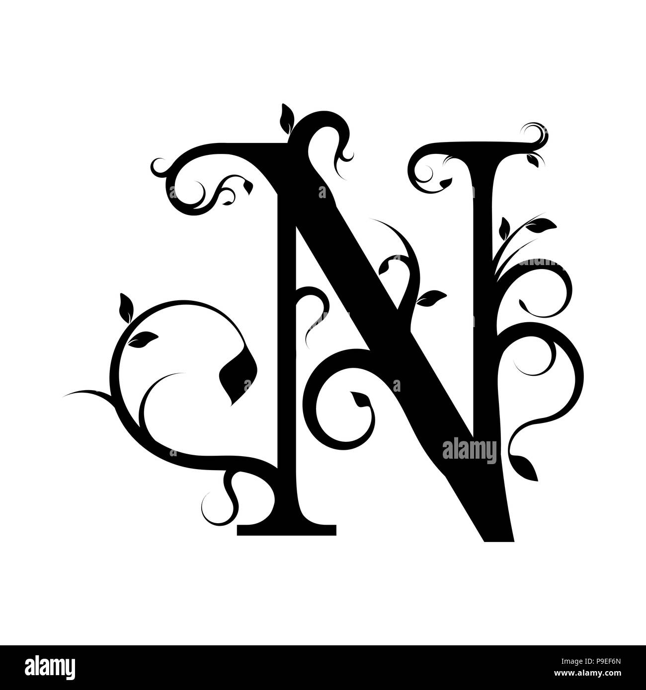 Floreale decorativo lettera N su uno sfondo bianco, illustrazione vettoriale Illustrazione Vettoriale