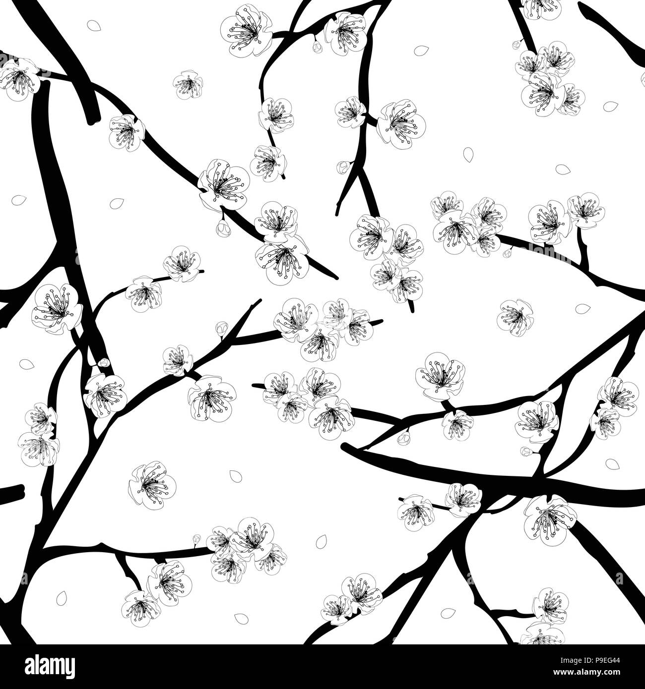 Prugna prugna Fiore fiore su sfondo bianco. Illustrazione Vettoriale. Illustrazione Vettoriale