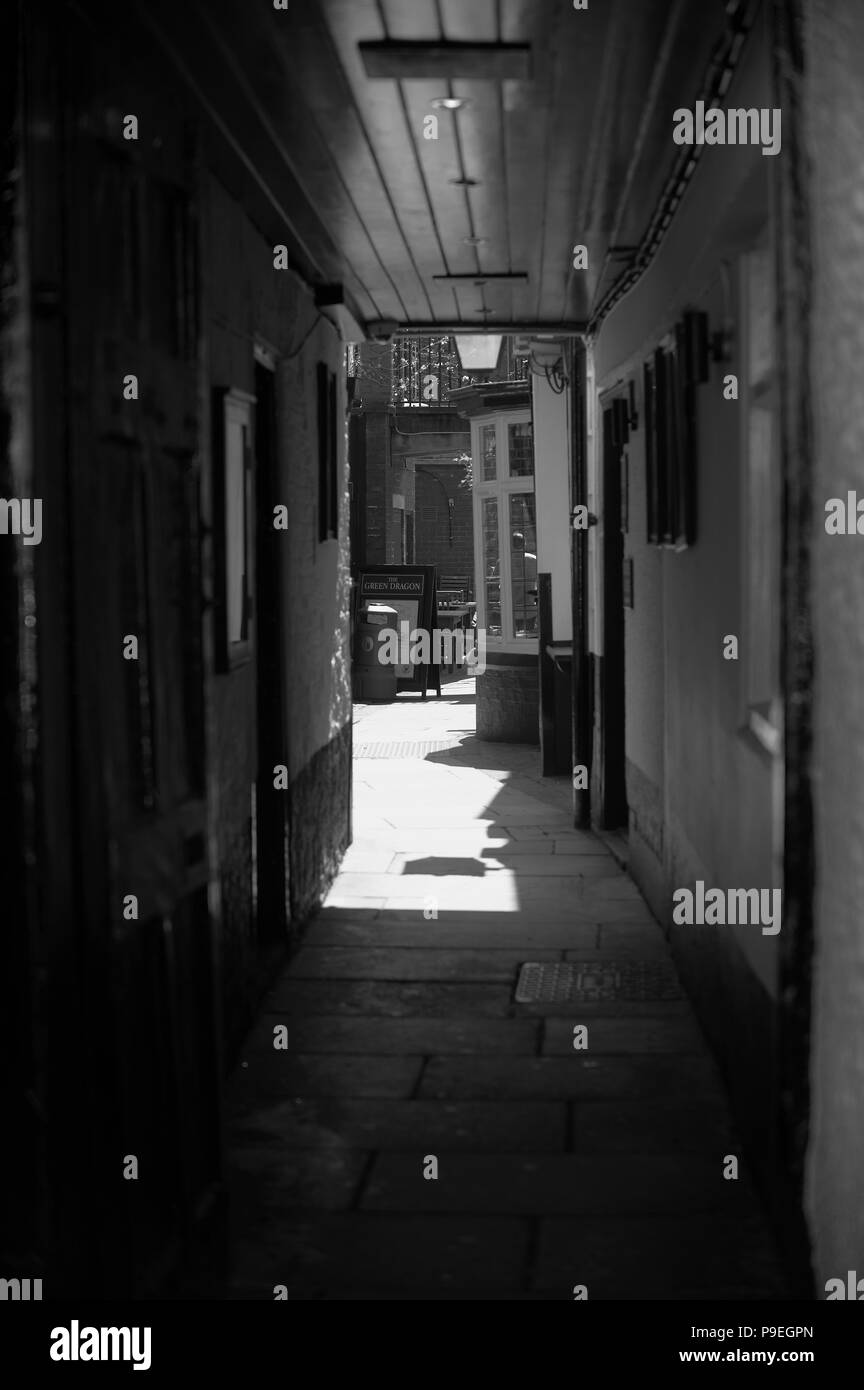 Beverley, East Yorkshire, Inghilterra, Regno Unito Foto Stock