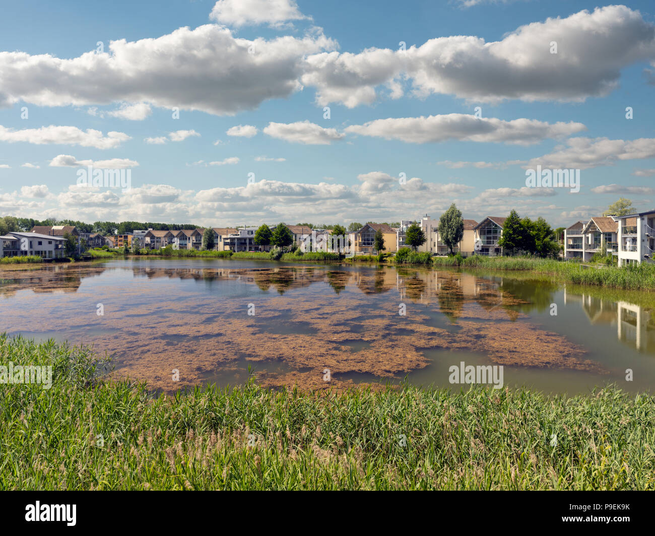 Howell la mera lago presso il Mulino inferiore Station wagon in Cotswold Water Park nr Cirencester circondato da ecologicamente corretto case vacanza Foto Stock