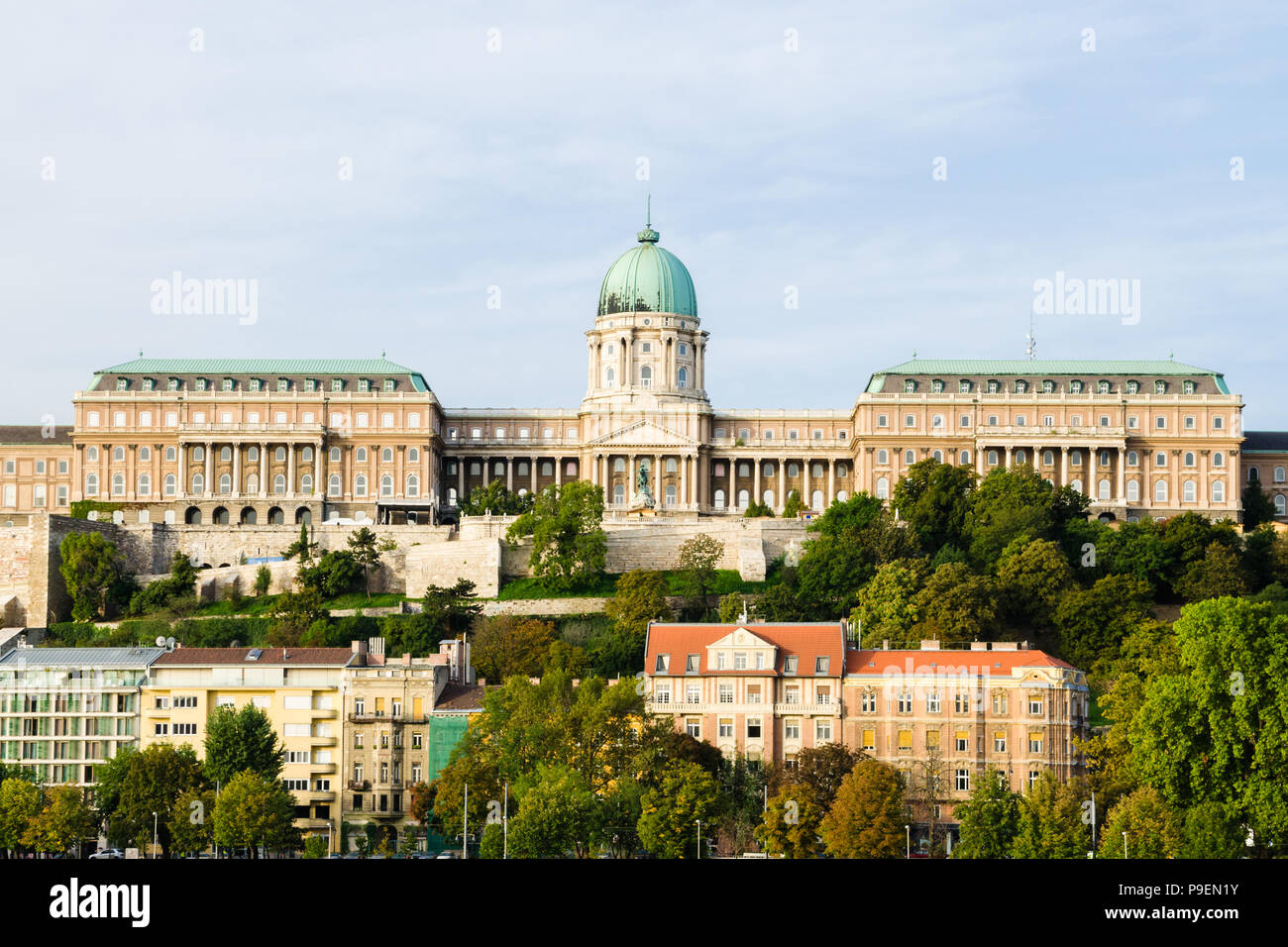 Castello di Budapest, Ungheria Foto Stock