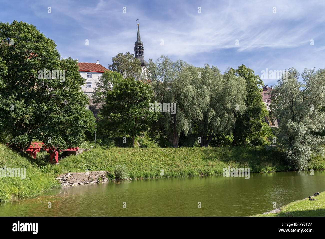 La collina di Toompea presso il centro storico con edifici vecchi e la Cattedrale di Santa Maria la torre vista dal Toompark a Tallinn, in Estonia, in una giornata di sole in estate. Foto Stock