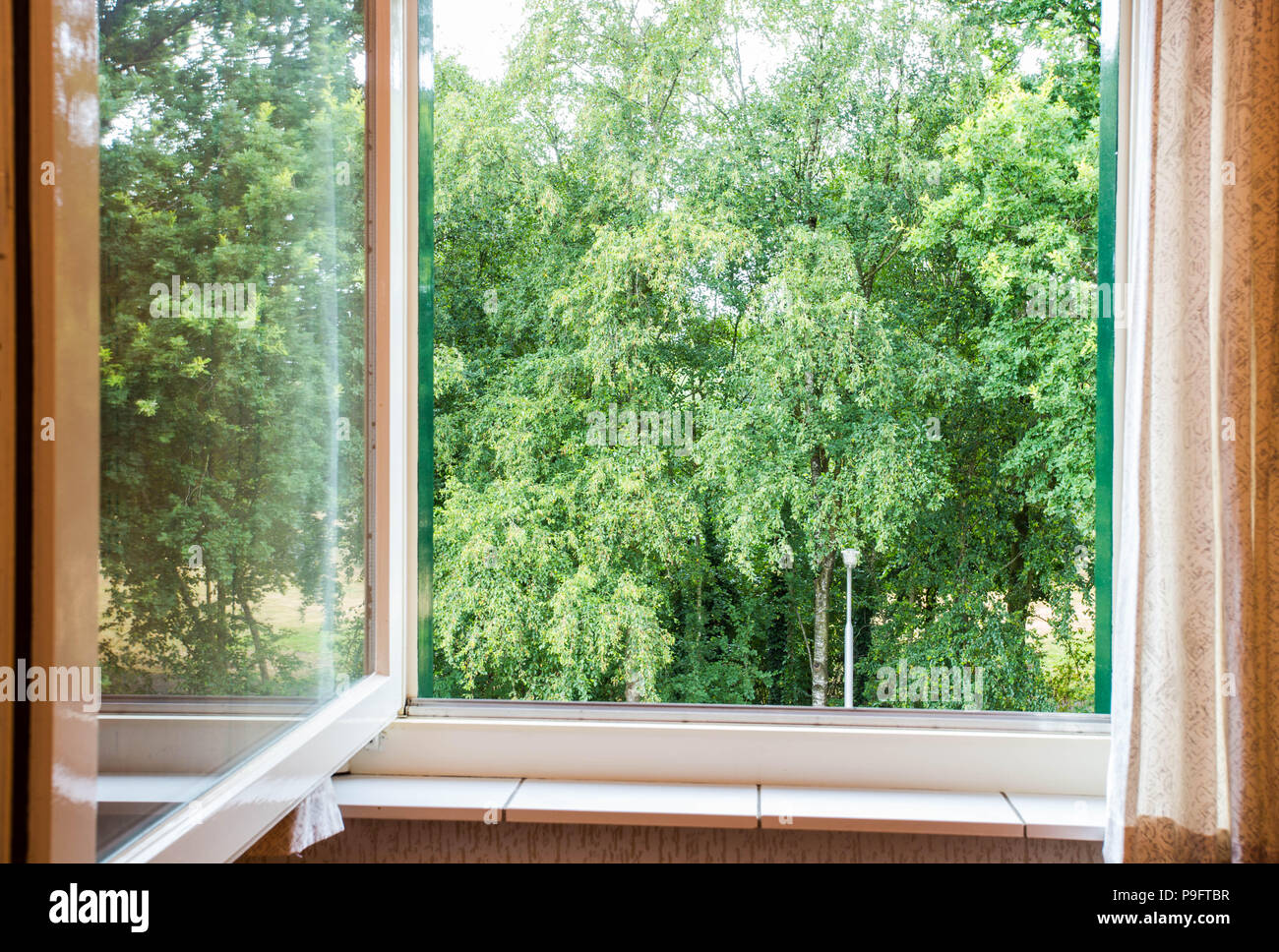 La natura del paesaggio con una vista attraverso una finestra con alberi verdi Foto Stock