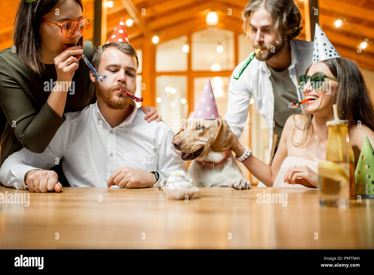 Compleanno cane con party hat e tortina sembra non impressionati dalla sua  parte. Girato in bianco. Il cane è in inglese Golden Retriever Foto stock -  Alamy