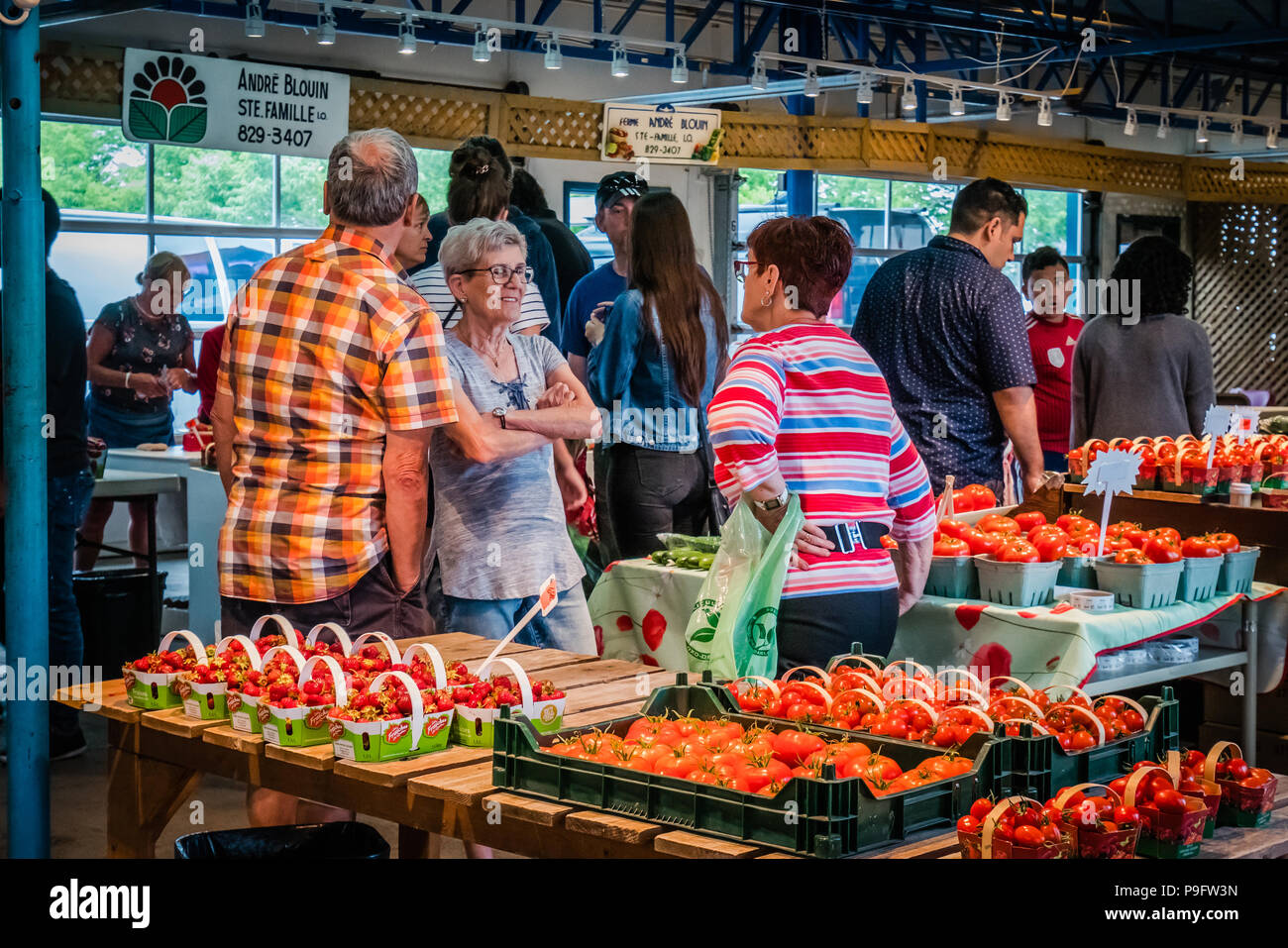 Gli agricoltori locali del mercato della città di Québec in Canada Foto Stock