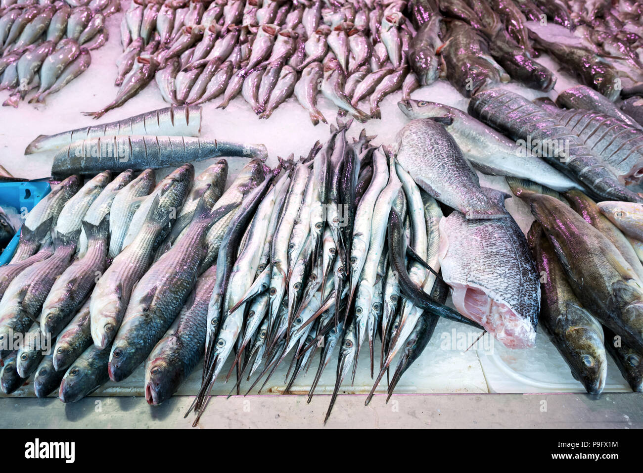 Assortimento di pesce fresco in pescheria Foto Stock