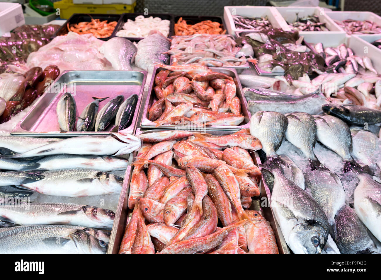 Assortimento di pesce fresco in pescheria Foto Stock