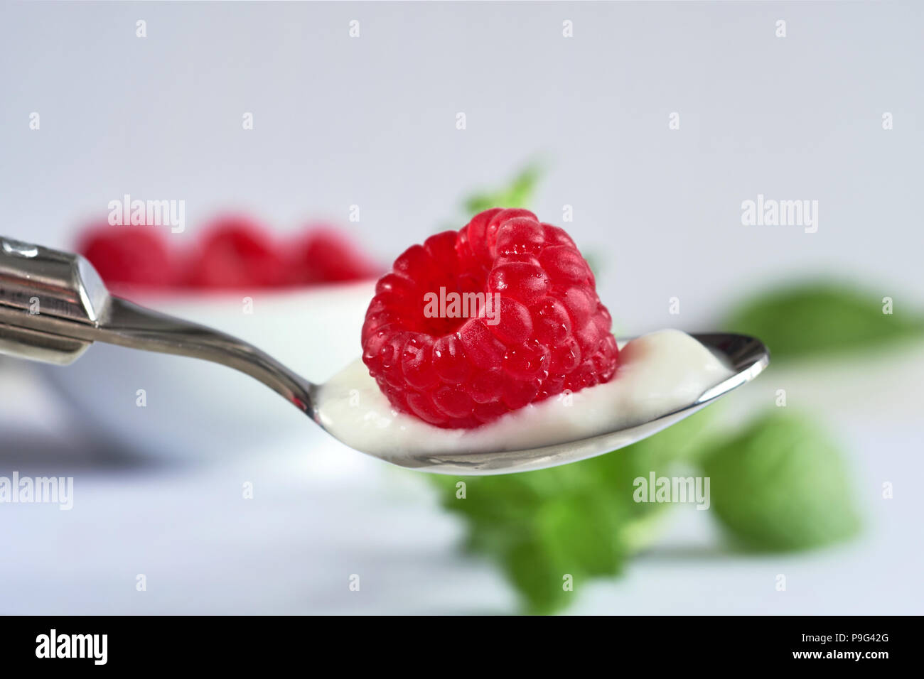 Cucchiaio riempito con yogurt e un lampone sulla parte superiore con sfocato di foglie di menta fresca e lamponi in bianco vaso in ceramica Foto Stock