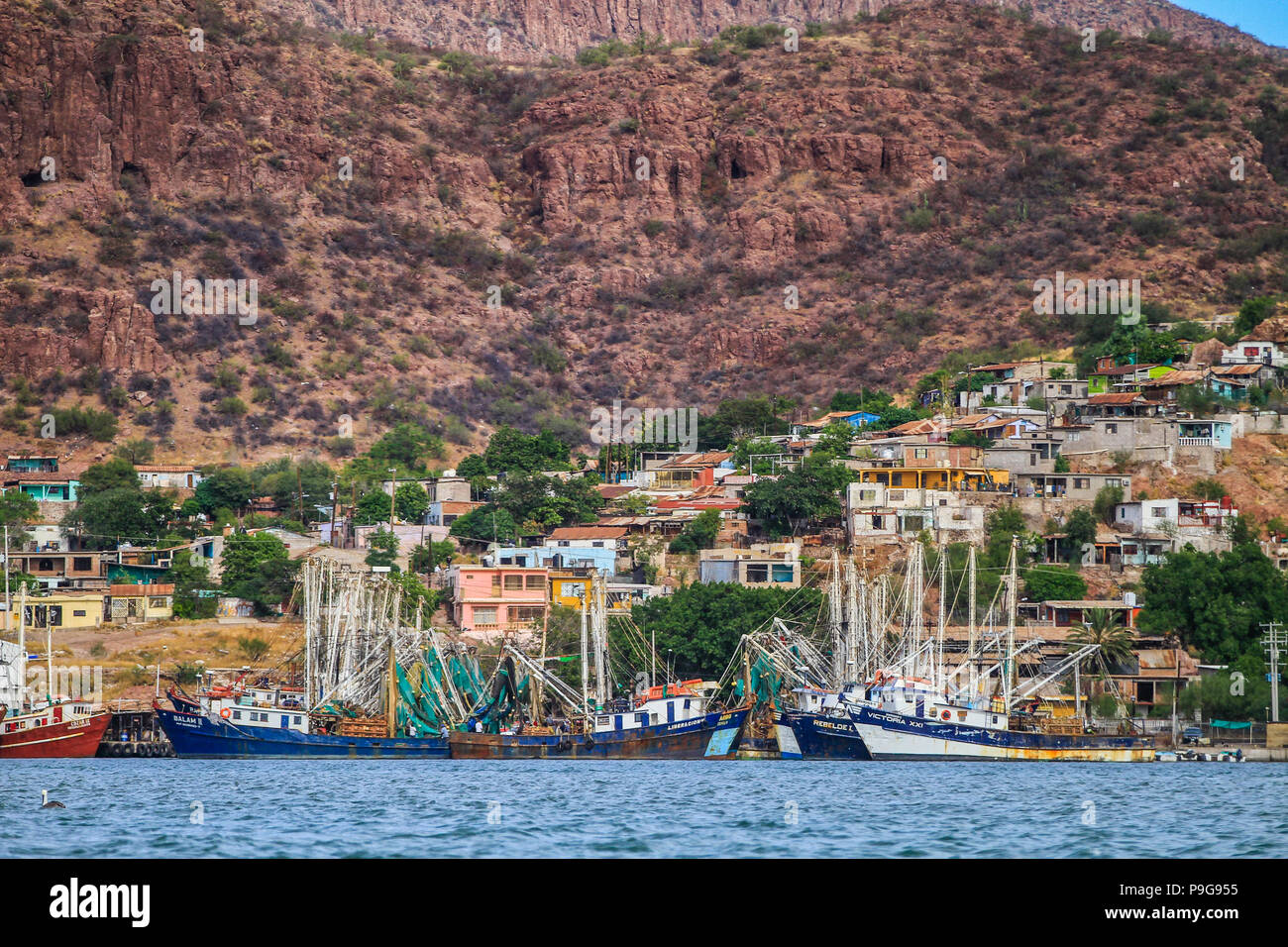 Relazione del porto di pesca di Guaymas Sonora. Reportaje del puerto pesquero de Guaymas Sonora. Foto Stock