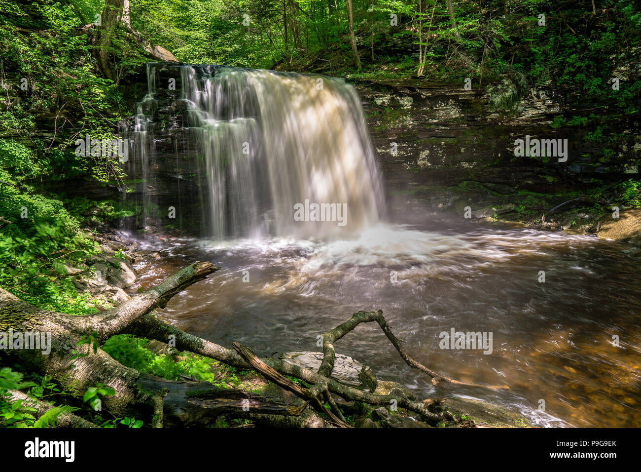 Harrison Wright Falls, Ricketts Glen State Park, Benton, Pennsylvania, STATI UNITI D'AMERICA Foto Stock