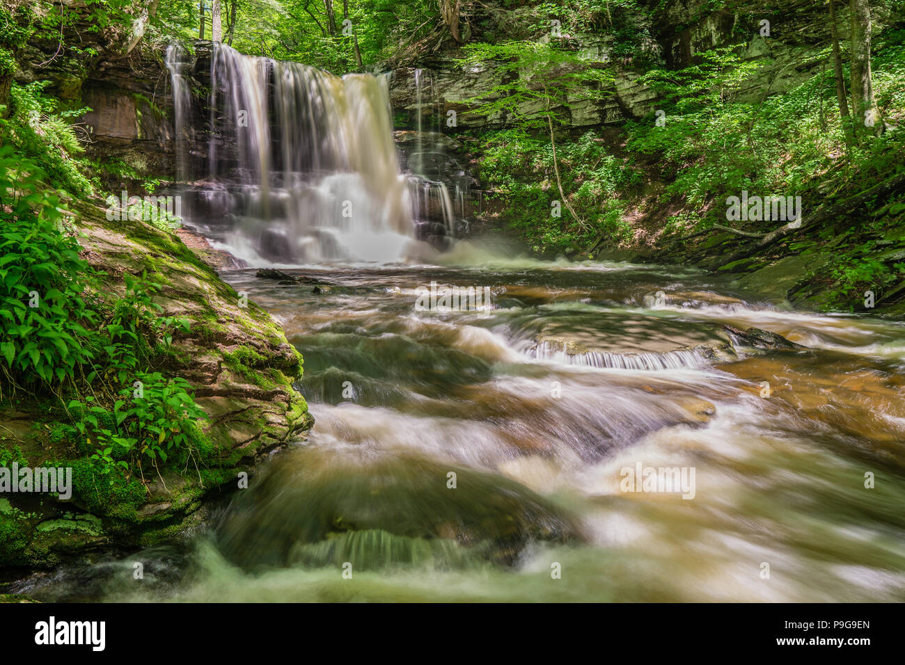 Sheldon Reynolds cade, Ricketts Glen State Park, Pennsylvania, STATI UNITI D'AMERICA Foto Stock