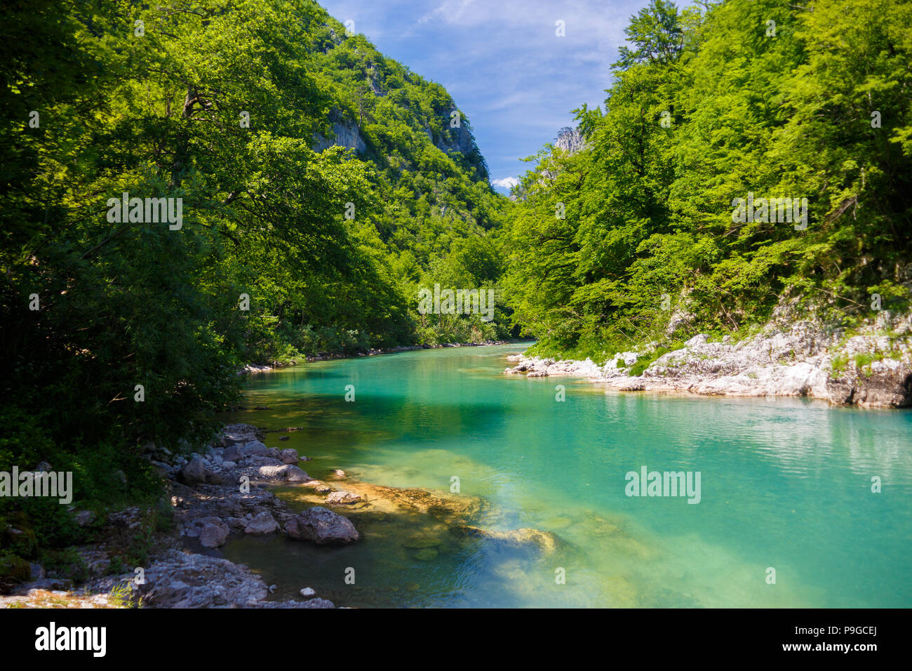 Il pittoresco fiume di montagna con acqua cristallina tra il verde delle montagne Foto Stock