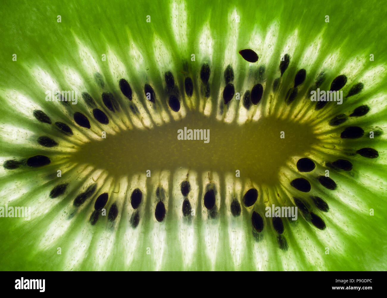 Kiwi Foto Stock