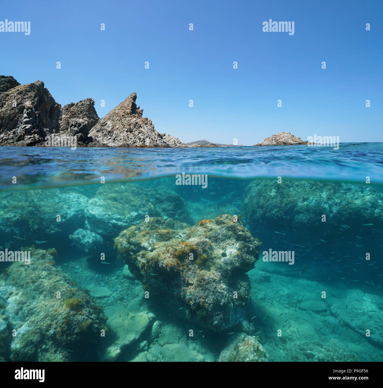Costa rocciosa con rocce sottomarine, vista suddivisa al di sopra e al di sotto della superficie, il mar Mediterraneo, riserva marina di Cerbere Banyuls, Francia Foto Stock