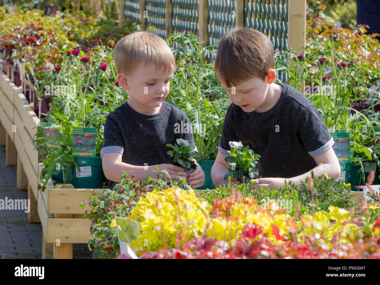 I bambini guardando le piante in giardino centro Foto Stock
