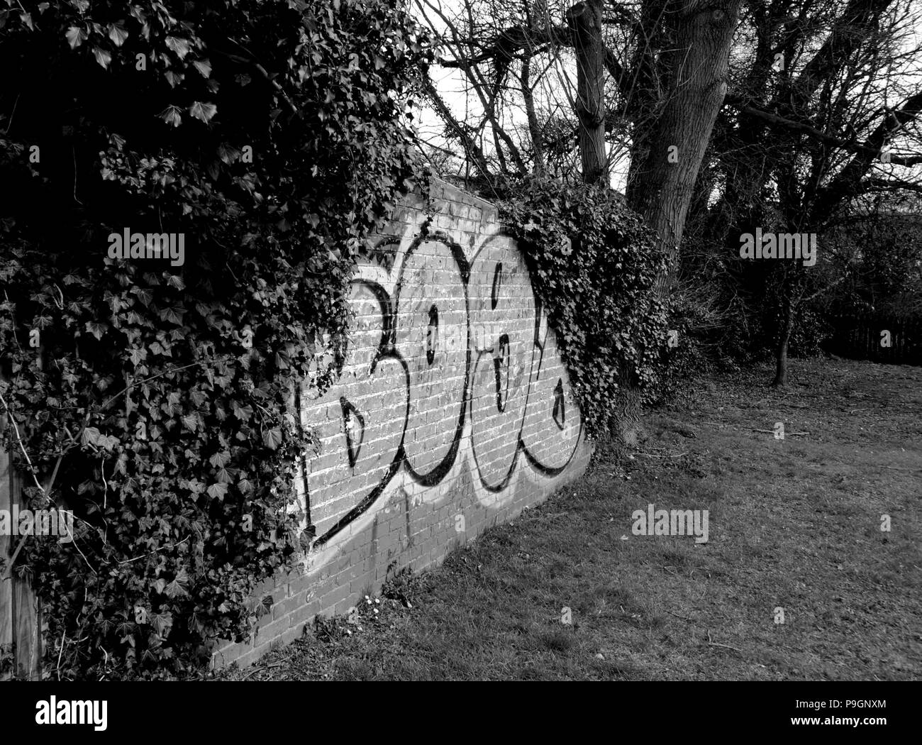 Graffiti nel parco tra Ovest e Brook Avenue, Edgware, Londra. Foto Stock
