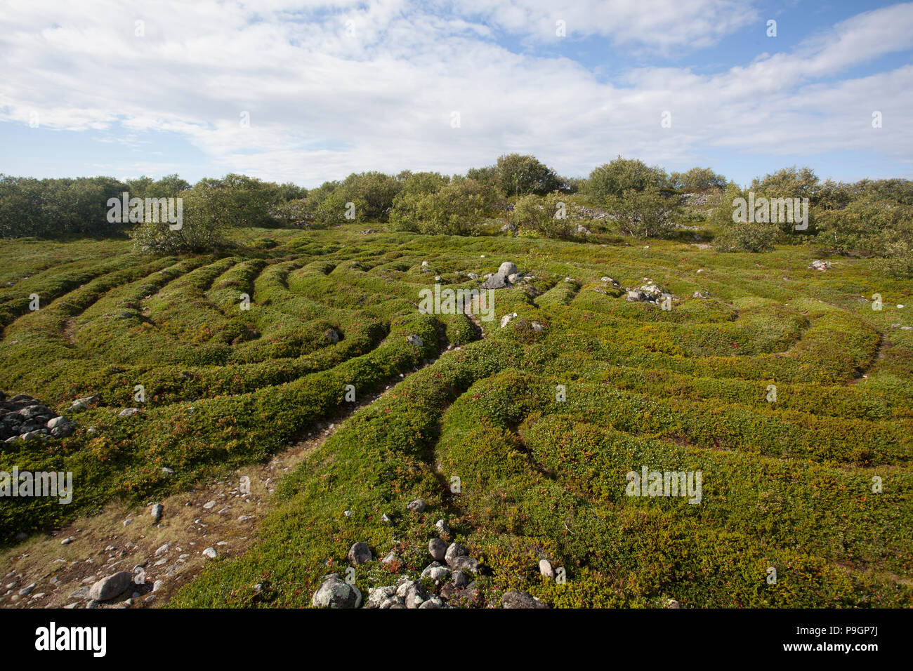 Neolitico labirinto di pietra, isole Solovetsky, Russia Foto Stock