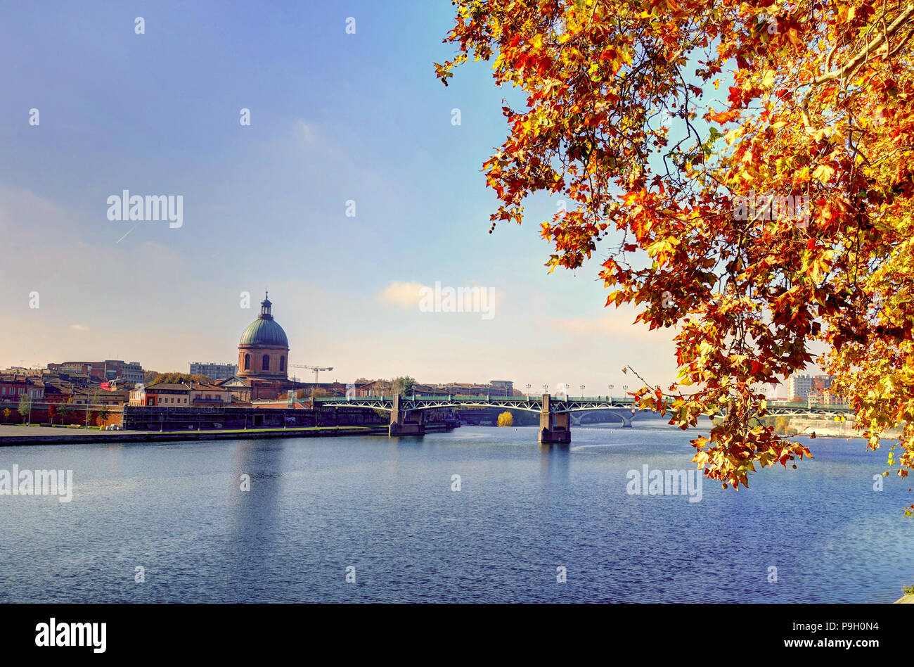Toulouse paesaggio urbano, Francia Foto Stock