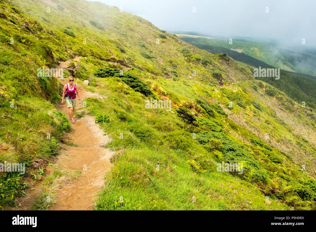 Il camminatore femmina sulle pendici del Pico da Vara, il punto più alto di Sao Miguel, Azzorre Foto Stock