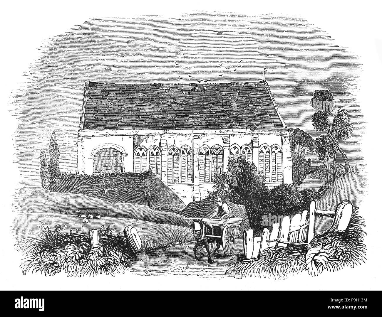 Un pony e trappola di fronte a Eltham Palace nel Royal Borough of Greenwich, a sud-est di Londra, Inghilterra. Il palazzo originale fu dato a Edward II nel 1305 dal vescovo di Durham, Anthony Bek, e utilizzato come residenza reale tra il XIV e il XVI secolo. Edward IV costruita la grande Hall nel 1470s, e un giovane Henry VIII anche cresciuto qui; è stato qui in 1499 che egli ha incontrato e ha impressionato lo studioso Erasmus, introdotto da lui di Thomas More. Eltham era meno frequentate, salvare per la caccia nel suo racchiuso i parchi e le celebrazioni del Natale in tempi di Tudor. Foto Stock