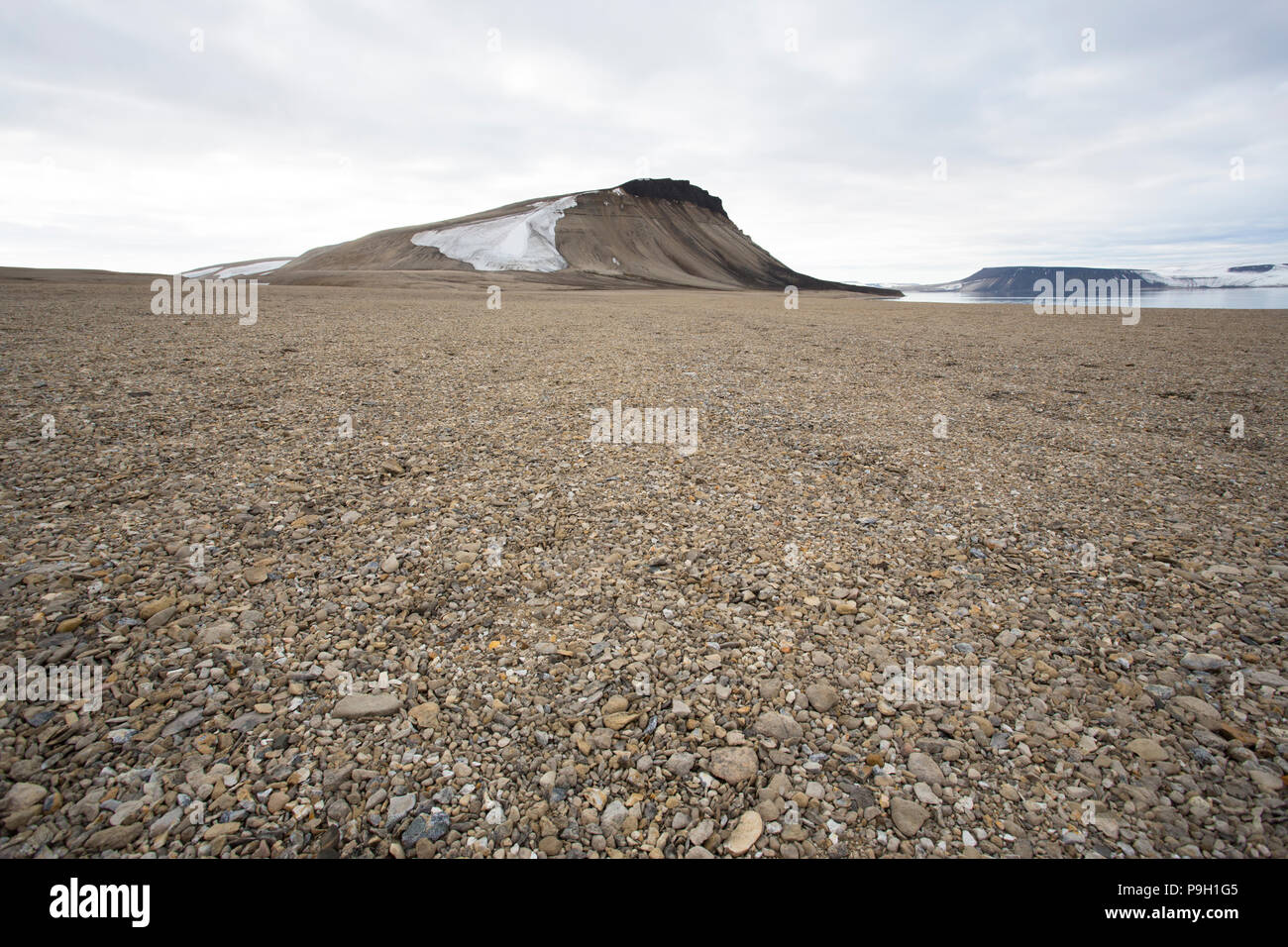 Un deserto polare, Zeipelodden, Svalbard Foto Stock