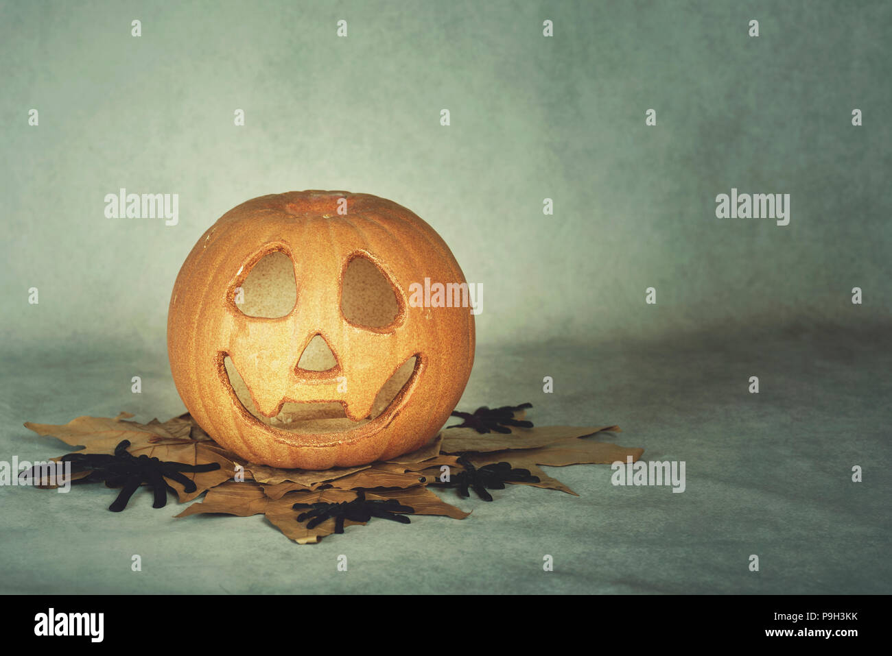 Scary Halloween zucca su sfondo grigio Foto Stock