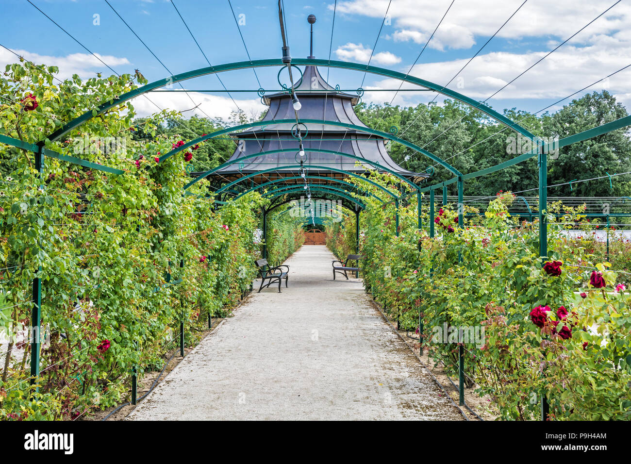 Stagionale giardino di rose, il castello Esterhazy Fertod, Ungheria. Scenario naturale. Destinazione di viaggio. Foto Stock