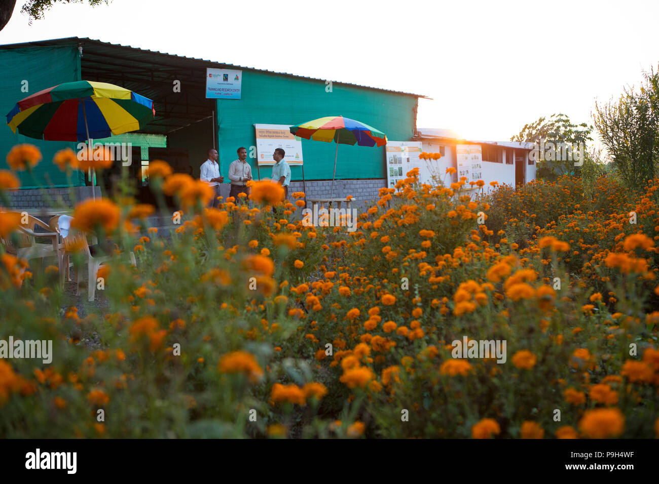 Organico Vasudha Solution Center in Jamniya, Madhya Pradesh, India. Foto Stock