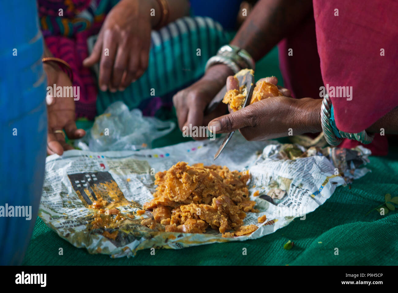 Un gruppo di donne locali di agricoltori imparare a fare fertilizzante organico per le loro aziende a un agricoltore la scuola di formazione, Sendhwa, India. Foto Stock