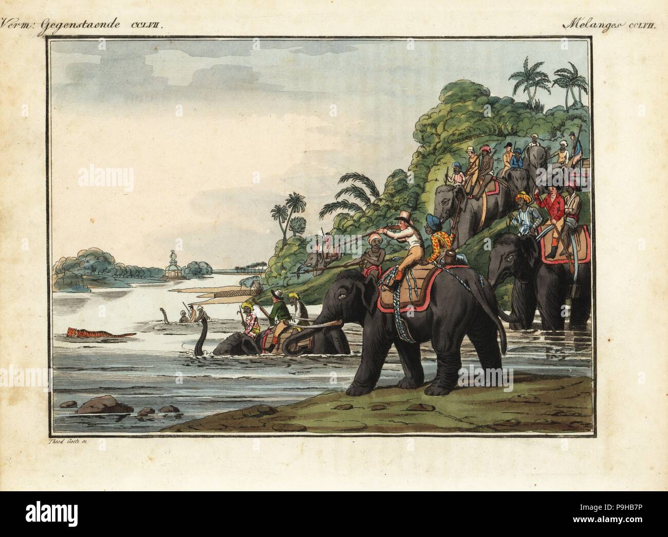 Coloniale Britannica cacciatori montato su elefanti con guide indiane a caccia e tiro in una tigre in un fiume in India. Handcolored incisione su rame da Theodore Goetz da Friedrich Johann Bertuch's Bilderbuch fur Kinder (Picture Book per bambini), Weimar, 1823. Foto Stock