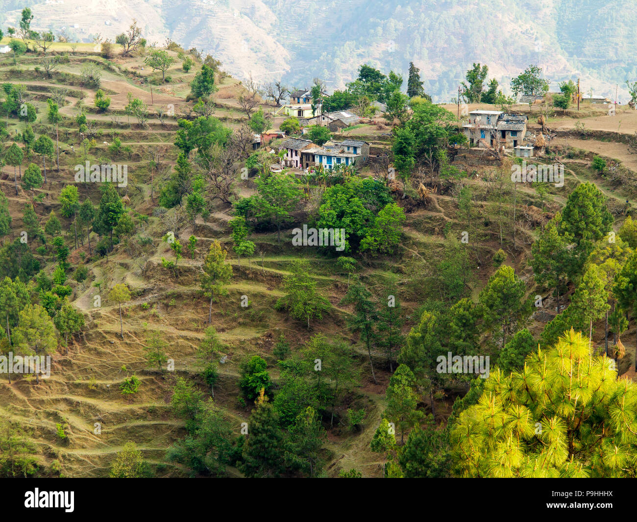 Campi terrazzati sul telecomando Sanouli village, dove Jim Corbett shot il Panar maneater, Kumaon Hills, Uttarakhand, India Foto Stock