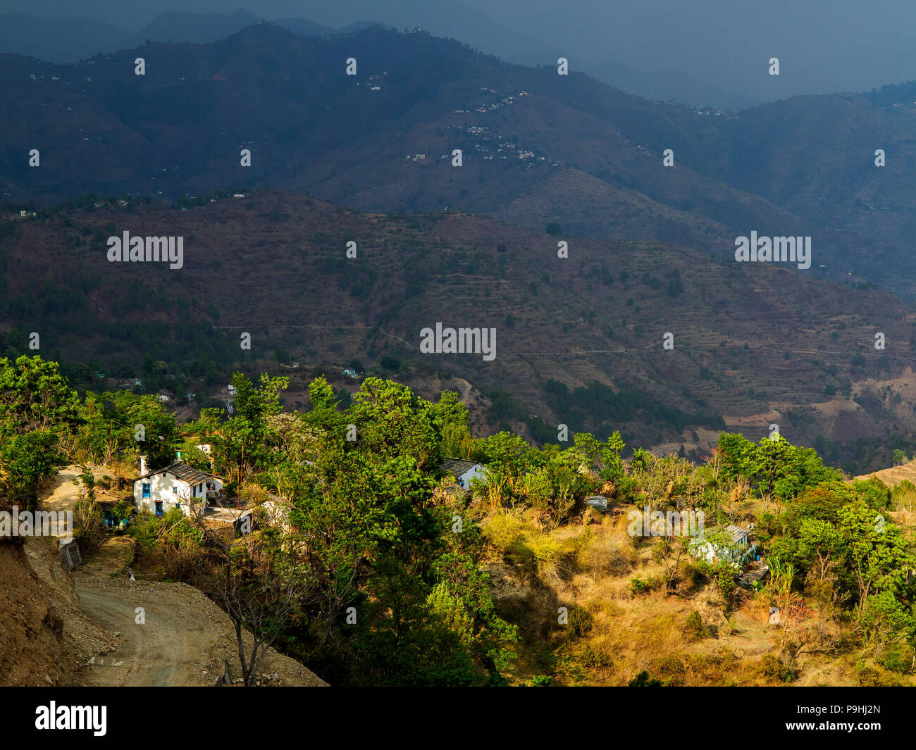 Campi terrazzati sul telecomando Sanouli village, dove Jim Corbett shot il Panar maneater, Kumaon Hills, Uttarakhand, India Foto Stock