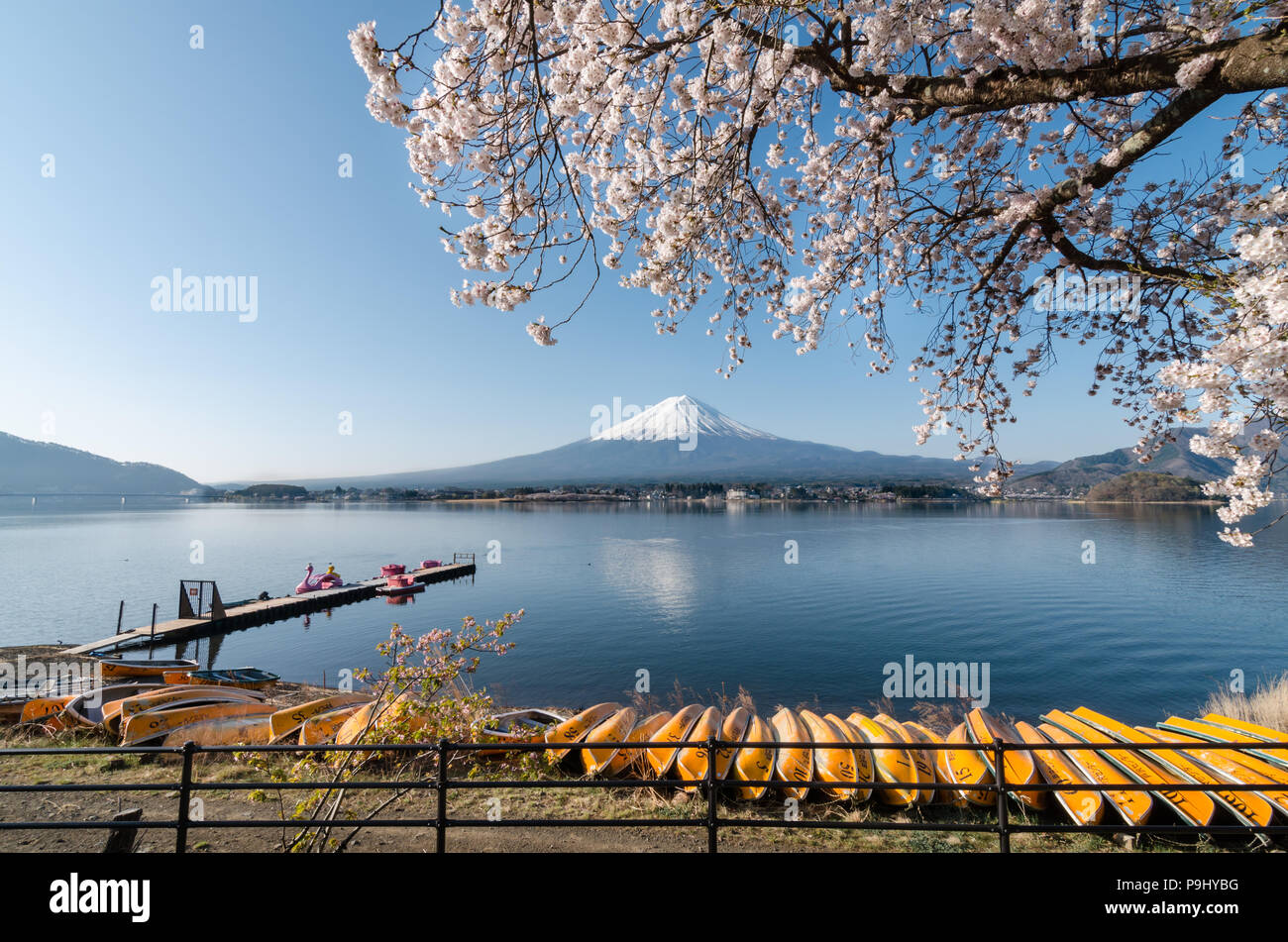 Majestic Mountain Fuji come vista dalla sponda settentrionale del Lago Kawaguchiko, Giappone. Lago Kawaguchi è la più turistica tra le Fuji cinque laghi. Foto Stock
