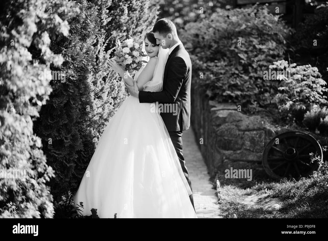 Felice giovani sposi in posa all'aperto in giardino o nel parco. Foto Stock