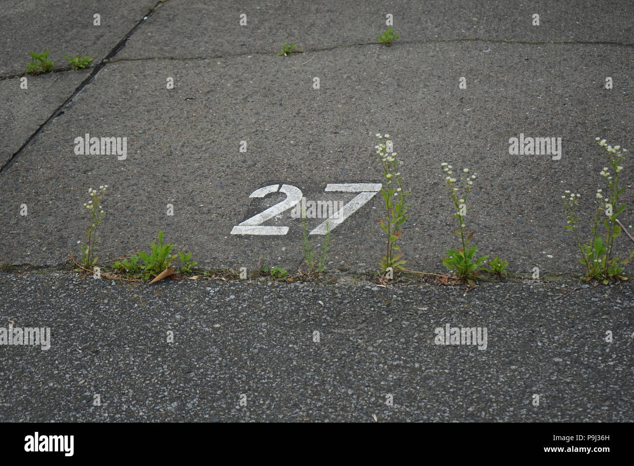 Asfalto Numero di calcestruzzo 27 Foto Stock