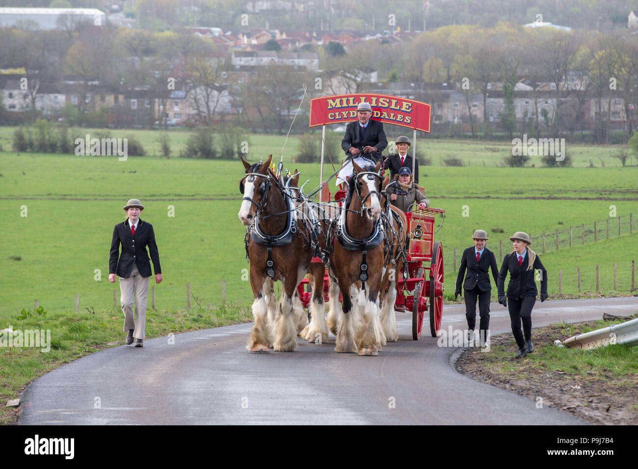 Cavalli Clydesdale tirando un carrello Foto Stock
