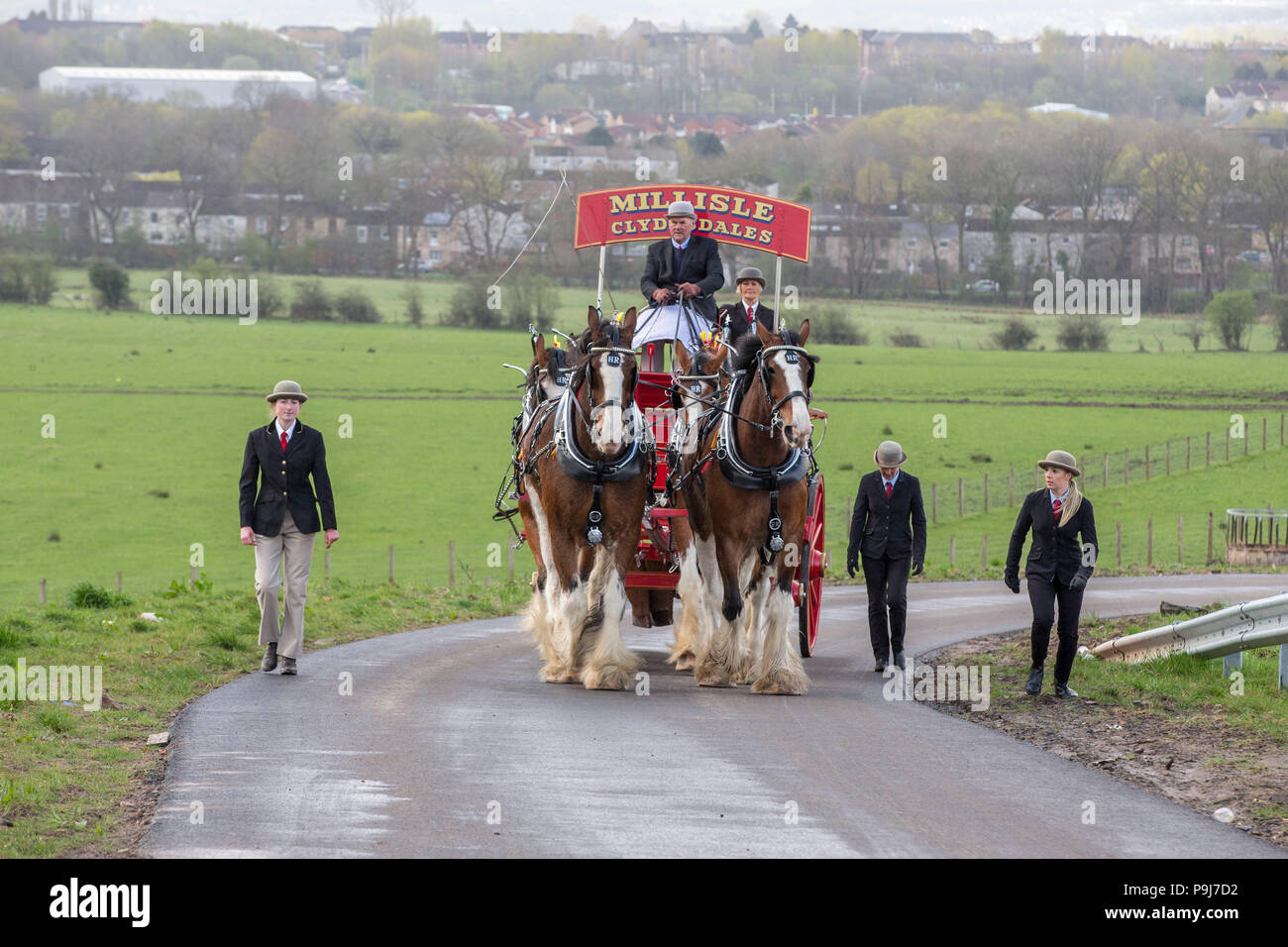 Cavalli Clydesdale tirando un carrello Foto Stock