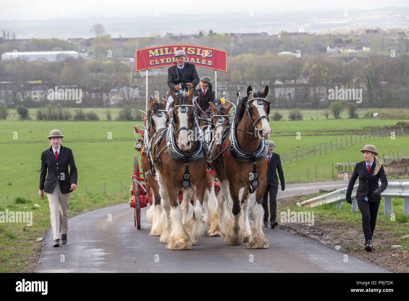 Cavalli Clydesdale tirando un carrello Foto Stock
