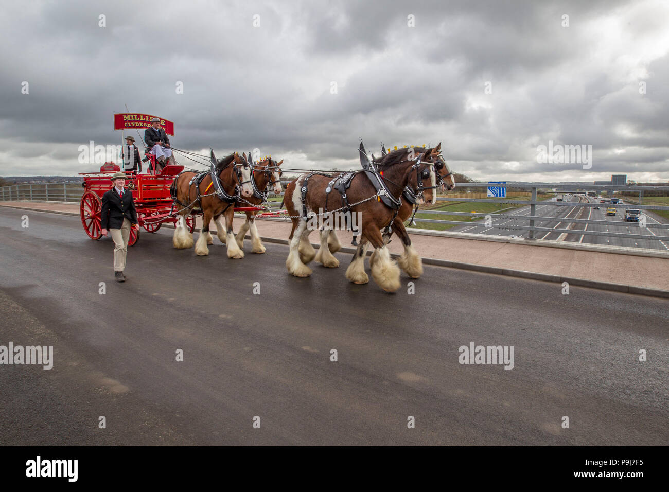 Cavalli Clydesdale tirando un carrello Foto Stock