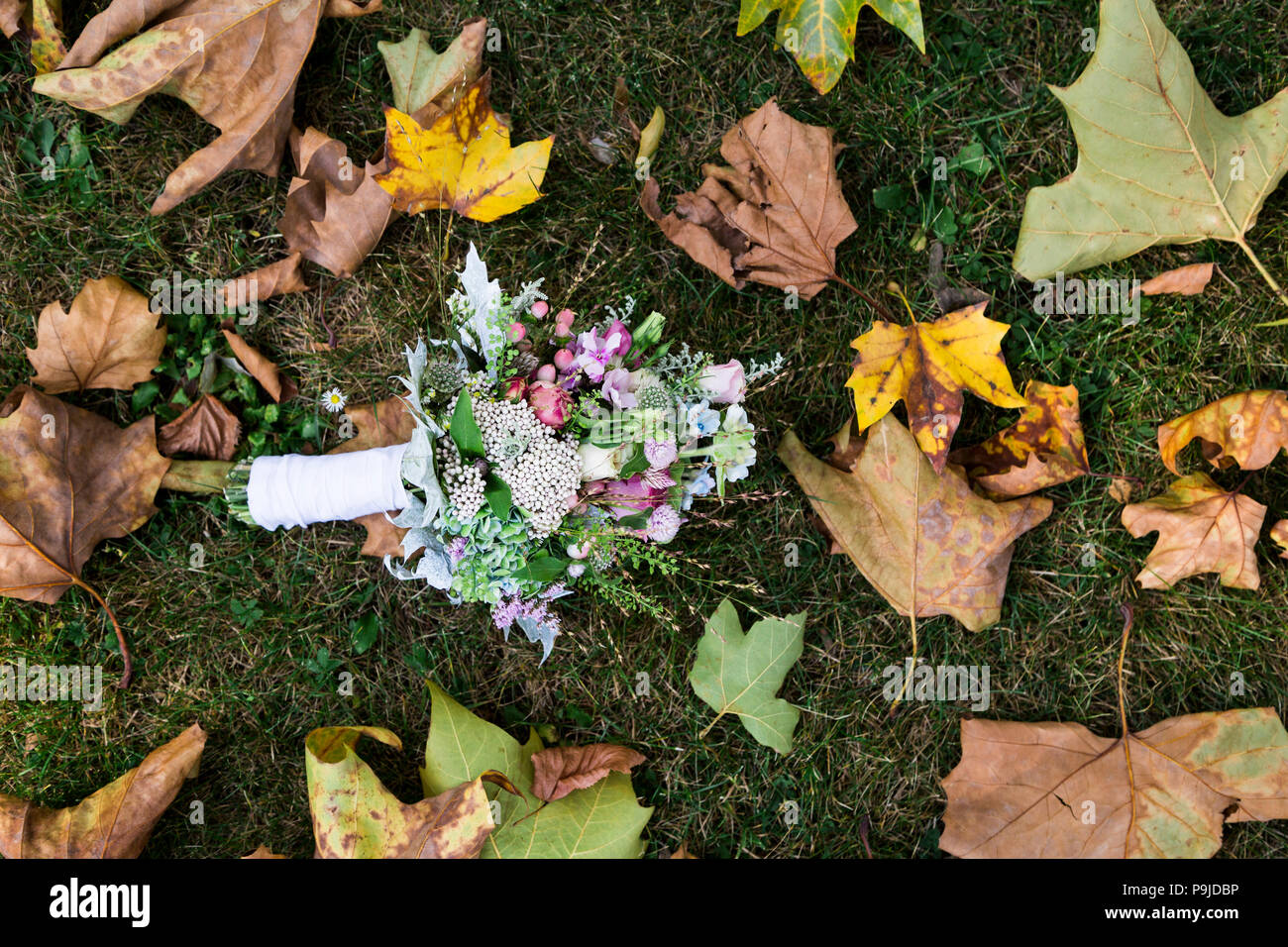 Bouquet di orchidee e rose giacente su erba, vicino a foglie d'acero Foto Stock