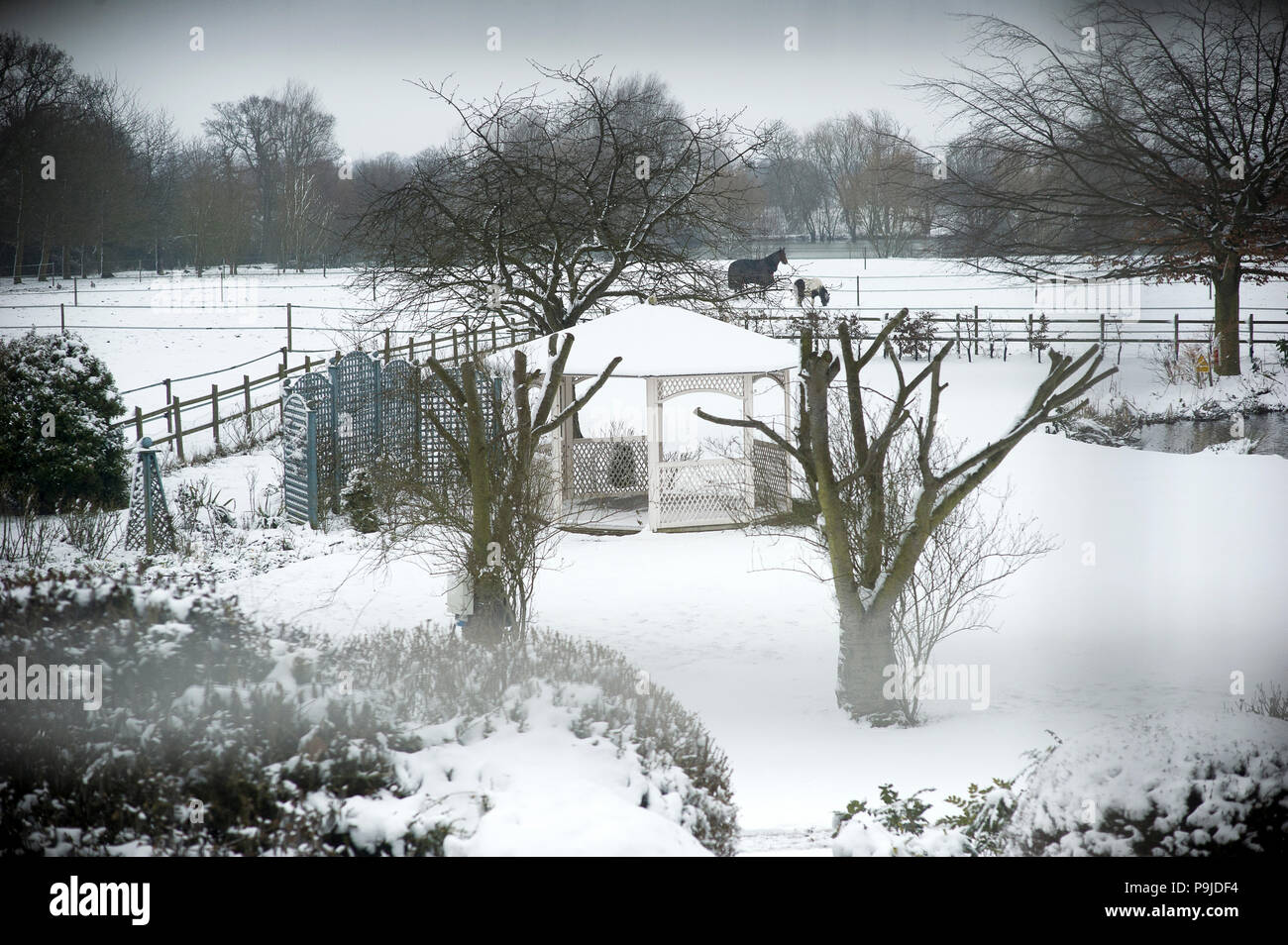 Fennes House Foto Stock