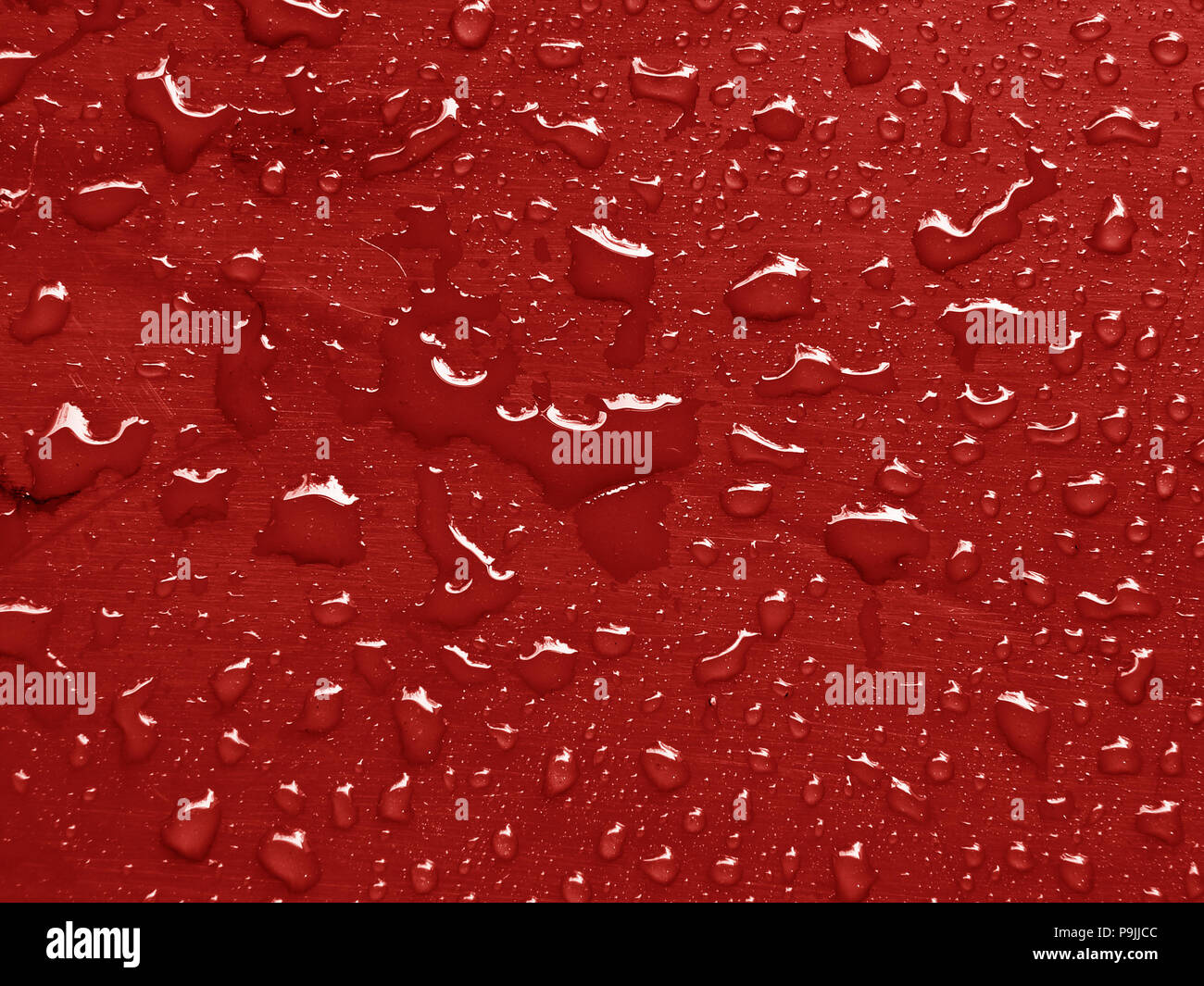 Gocce d'acqua sulla valiant colorato di papavero superficie metallica Foto Stock